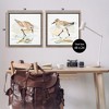 Stupell Industries Sea Birds on Shore, 25" x 25" - 3 of 4