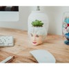 Silver Buffalo The Golden Girls Dorothy 3-Inch Ceramic Mini Planter With Artificial Succulent - 4 of 4