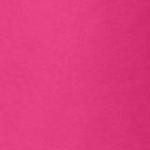 raspberry sorbet