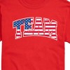 Men's - Instant Message - Team USA Flag Short Sleeve Graphic T-Shirt - 2 of 4