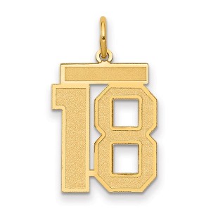 Black Bow Jewelry 14k Yellow Gold, Jersey Collection, Medium Number 18 Pendant - 1 of 3