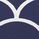 scallops navy