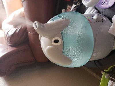 Guest review image 1 of 1, zoom in