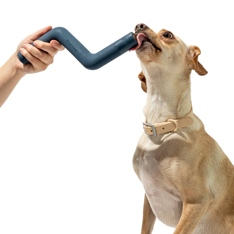 Wild One Bolt Bite Chew & Treat Interactive Dog Toy, 3 of 9
