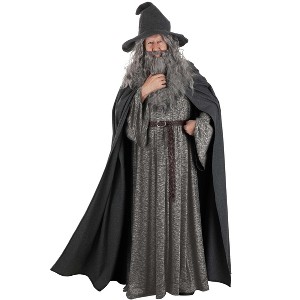 HalloweenCostumes.com Plus Size Lord of the Rings Gandalf Costume for Men,  Fantasy & Halloween - 1 of 4
