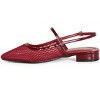 CITY CHIC | Women's Plus Size WIDE FIT Lily Mesh Flat - berry - 10W - 4 of 4
