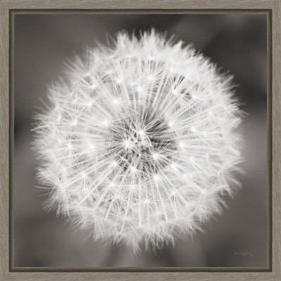 Graywash Framed Black and White Dandelion Canvas Art