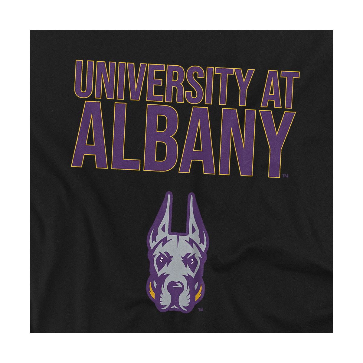 Men's University at Albany Official T-Shirt - thumbnail 8