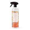 Therapy Clean Fresh Herbs & Melon All Purpose Cleaner - 24 fl oz - 2 of 4