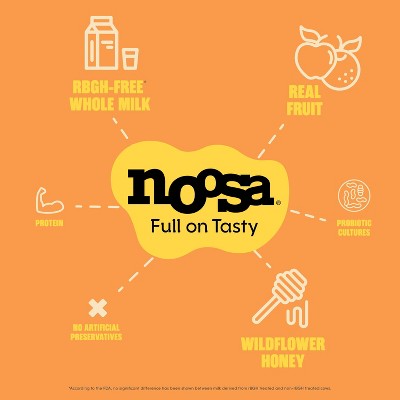noosa Pumpkin Aussie Style Yogurt - 11g Protein 8oz