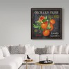 Trademark Fine Art -Jean Plout 'Orchard Fresh Oranges' Canvas Art - 3 of 3