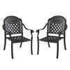 NicBex 2PC Outdoor Dining Chair,Patio Dining Chairs with Black Frame and Random Color Cushion,Aluminum Chairs Suitable for Patio,Garden,Rustic Black - 2 of 4