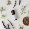 10ml Organic Lavender Essential Oil - Casaluna™ - 2 of 4