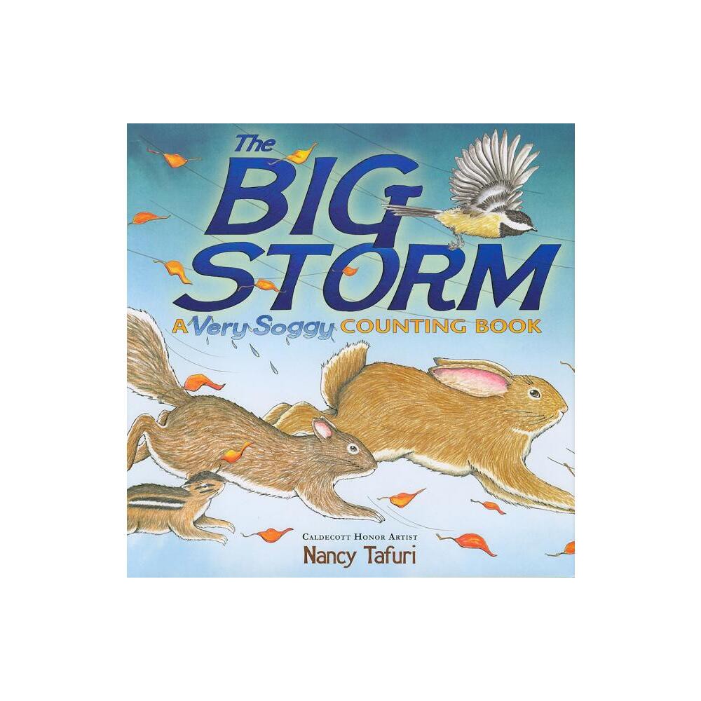 The Big Storm - by Nancy Tafuri (Hardcover)