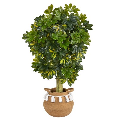 Boho Chic 50'' Faux Schefflera Tree in Cotton Woven Planter