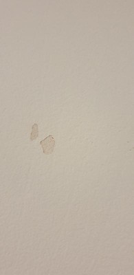 Guest review image 4 of 4, zoom in