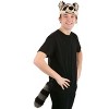 HalloweenCostumes.com    Raccoon Plush Headband & Tail Costume Kit, Black/Gray/Brown - 3 of 4