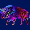 Junior's Design By Humans Rainbow Buffalo By ZeichenbloQ T-Shirt - 2 of 3