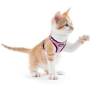 rabbitgoo Cat Harness for Walking, Escape Proof for Small Jacket with Reflective Strips & 1 Metal Leash Ring, Pink - 1 of 1