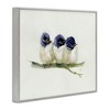 Stupell Industries Trio of Baby Swallows Birds Perched on Branch Black Framed Giclee Art - 3 of 4