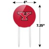 Youngstown State Primary Logo Acrylic Cake Topper Party Decoration for Wedding Anniversary Birthday Graduation - 2 of 4