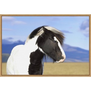 23" x 16" Icelandic Horse by Peter Langer Danita Delimont Framed Canvas Wall Art - Amanti Art: Modern Lithograph, Sawtooth Back - 1 of 4
