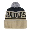 NFL Las Vegas Raiders Liftline Knit Beanie - 2 of 2