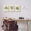 Stupell Industries Les Palmiers Botanical Trio, 11" x 14" - 2 of 4