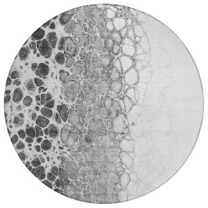 Gray Silver And Charcoal Abstract Washable Indoor Outdoor Area Rug - 1 of 4