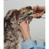Dexypaws: Pet Round Tip Shears - Sage Green, Dog & Cat Grooming Tool - 3 of 4