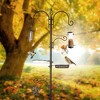 Snynuxx Deluxe Bird Feeding Station Kit With Multi Feeder Hanging Pole, Metal Suet Feeder, Mesh Tray for Attracting Wild Birds and Planter Hanger - 4 of 4