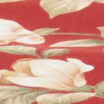 roma stripe