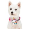 Blueberry Pet Dreamy Unicorn Adjustable Dog Collar with Detachable Unicorn - 4 of 4