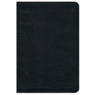 Premium Bible-NRSV - (Leather Bound)