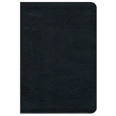 Premium Bible-NRSV - (Leather Bound)