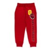 Harry Potter Gryffindor Fleece 2 Pack Pants - 2 of 4