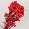 Alilang Decorative Dried Berry Stems for Home Decoration and Floral Arrangements, 17 Inches - 2 of 4