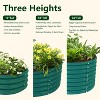Cesicia 8 x 3 x 2 FT Light Gray Oval Galvanized Metal Raised Garden Bed - 4 of 4