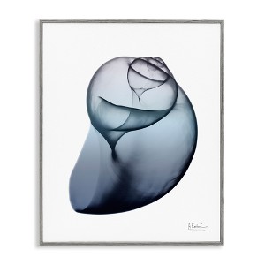 Stupell Industries Contemporary Snail Shell Framed Giclee Art - 1 of 4