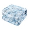 Full/Queen Silver Marble Kids' Comforter Set Blue - Heritage Club - image 2 of 3