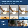 Wanze of Ocean 42 In. Smart Indoor Wood Ceiling Fan with Dimmable LED Light, DC Motor, App Remote Control - 3 of 4