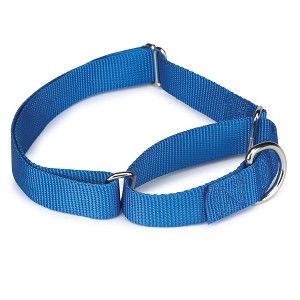Guardian Gear Nylon Martingale Dog Collar, Fits Necks 14" to 20", Blue - 1 of 2