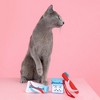 PetShop by Fringe Studio Minty Fresh Cat Plush Toy Set - 3pc - 4 of 4