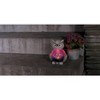 Ultimate Innovations Owl Lighted Garden Friend Glass & Resin Outdoor Decorative Scultpure Pink - 4 of 4