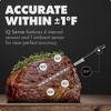 iQ Sense by CHEF iQ Smart Wireless Meat Thermometer, WiFi Unlimited Range, 5 Sensors, Ultra-Thin Probes - 2 of 4