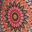 colorful flower