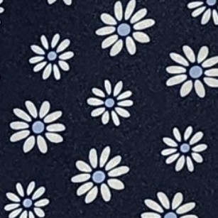 navy blue and white