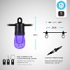 Enbrighten 20 Bulb LED Wi-Fi Color Changing Outdoor Cafe String Lights Black - 2 of 4