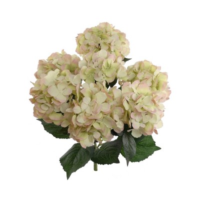 Floral Home 20" Green Pink Hydrangea Bush - 6-Piece