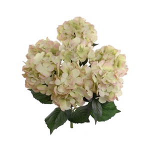 Floral Home 20" Green Pink Hydrangea Bush - 6-Piece - 1 of 3